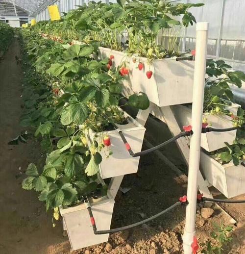 best indoor grow systems